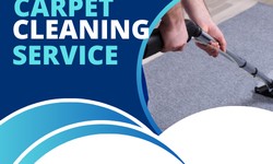 GS Murphy Carpet Cleaning Ermington: Ensuring Pristine Carpets and Superior Service