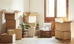 Moving To Miami From NYC- Things To Know