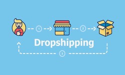 How to Select a Professional Dropshipping Website Theme
