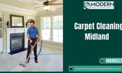 How to Keep Your Carpets Looking Guest-Ready