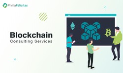 Maximizing Business Potential with Blockchain Consulting Services