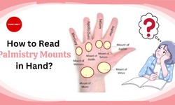 How to Read Palmistry Mounts in Hand?