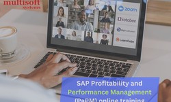 A Comprehensive Tutorial to SAP PaPM