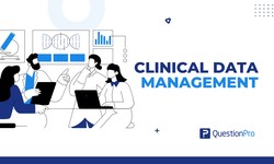 Clinical Data Management: An Essential Guide for Beginners