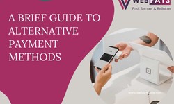 A Brief Guide To Alternative Payment Methods