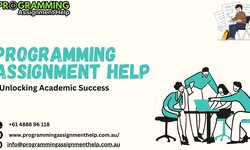 Revolutionizing Programming Assignment Help Services