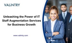 Unleashing the Power of IT Staff Augmentation Services for Business Growth