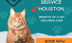 Animal Care Service Houston – Benefits of a Pet Wellness Care