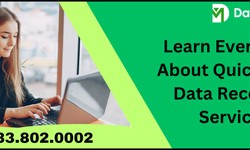 Learn Everything About QuickBooks Data Recovery Services