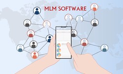 Best MLM software company in Lucknow