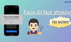 Troubleshooting Face ID Not Working: Causes, Fixes, and Prevention