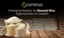 Emerging Markets for Basmati Rice: Opportunities for Growth