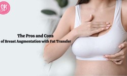 The Pros and Cons of Breast Augmentation with Fat Transfer