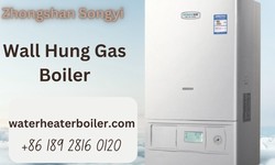 What gas boiler spare parts does Songyi offer