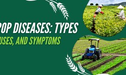 Crop Diseases: Types, Causes, and Symptoms
