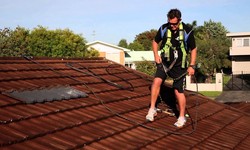 The Importance of Professional Attention for Industrial Roof Leak Repair