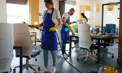 Elevate Your Home: Discover Chevy Chase's Premier Maid Cleaning Services