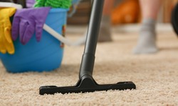 Affordable Eco-Friendly Carpet Cleaning in NYC