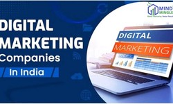 Unveiling the Top Contender: Best Digital Marketing Company in India