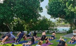 Unlock Your Potential with the Best Vinyasa Yoga Teacher Training in Bali - Yoga Dunia