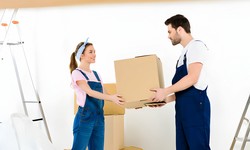 What Are The Top Reasons to Choose Best Removals Brisbane for Your Relocation Needs?