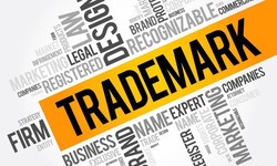 What is a Trademark? A Complete Guide and Definition