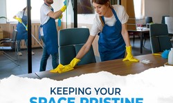Comprehensive Cleaning Services in Naples, FL: Elevating Your Space