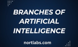 Exploring the Branches of Artificial Intelligence: A Journey into the Innovations of Nort Labs