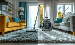 How to Choose the Best Carpet Cleaning Company for Your Home in Washington, DC