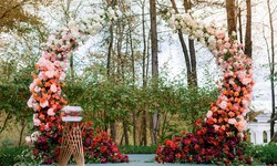 Unveiling Austin's Most Spectacular Wedding Venues