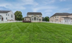 Transforming Outdoor Spaces: Newhart Landscaping's Basic Landscape Packages Unveiled