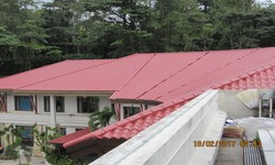 Common Roof Problems And How Roofing Contractor in Singapore Can Help