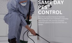 Pest Control Services in Lismore: Ensuring a Pest-Free Environment