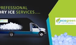 Why Ecogreen is the best dry ice delivery Dubai