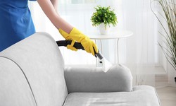 Choose A Professional Chair Cleaning Service To Rediscover The Beauty And Comfort Of Your Chairs