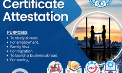 Ensuring Authenticity: Experience Certificate Attestation Process Explained