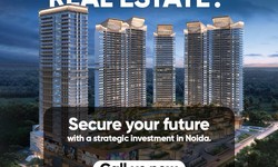 Things to consider while hiring the best property consultant in Noida