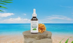 10 Easy Steps to Cleaning with Sea Moss Drops