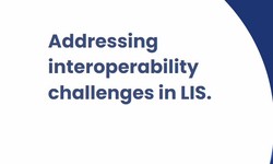 Navigating the Maze: Addressing Interoperability Challenges in LIS Software