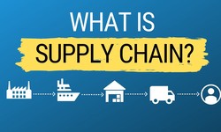 Charting Career Paths: Logistics and Supply Chain Management Courses in India