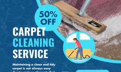 Revitalize Your Home with GS Murphy Carpet Cleaning