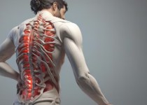 Moving Without Pain: Managing Musculoskeletal Issues with a General Physician in Jaipur