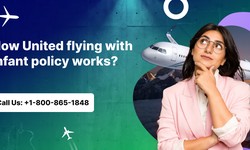 What Is The Cancellation Policy of Spirit Airlines?