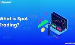 What is Spot Trading and How does it work?