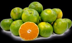 Why Bulk Buyers Should Turn to South Africa's Leading Citrus Exporters?