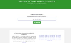 Search Phone Numbers with The OpenData Foundation Directory