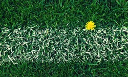 Difference between artificial and real grass