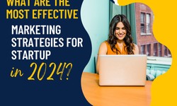 What Are the Most Effective Marketing Strategies for Startup in 2024?