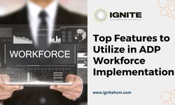 Top Features to Utilize in ADP Workforce Implementation – Ignite HCM