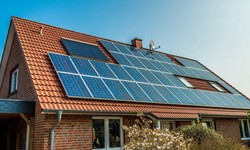 Ready to go solar? Explore top solar companies now!